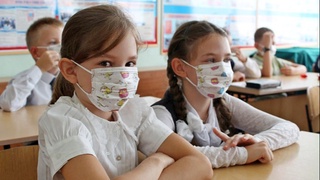 Приостановленные предметы в школах возобновятся с III четверти