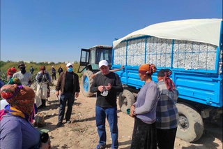 Республика ишчи гуруҳи Қашқадарё вилоятида пахта мавсумида мажбурий меҳнатнинг олдини олиш бўйича ўрганиш олиб борди