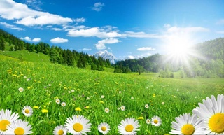 Узгидромет: к концу рабочей недели температура воздуха повысится до +31 градусов