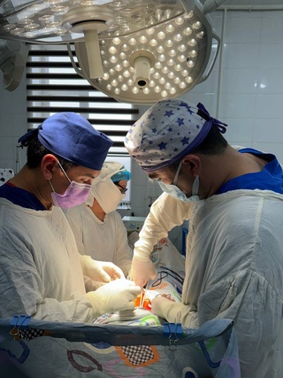 Помочь в сложных случаях и обучить новому врачей на местах