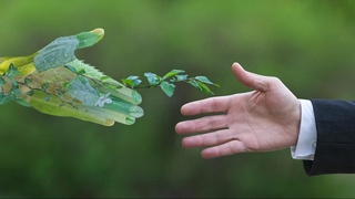 Узбекистан и Великобритания наладят экологическое сотрудничество
