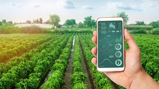 Органик маҳсулотлар етиштириладиган ер майдонларида алоҳида белгилар ўрнатилади