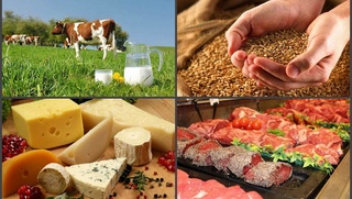 “Uzex Agro” platformasi ishga tushirilmoqda