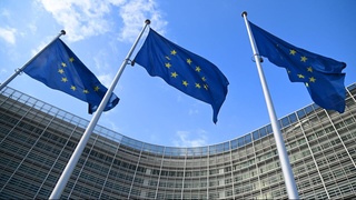 АҚШ ёрдамисиз ўз хавфсизлигини таъминлаши учун Европа Иттифоқига 300 минг аскар керак бўлади – тадқиқот