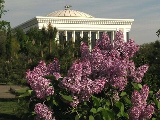 Какая погода ждет узбекистанцев в эти выходные?