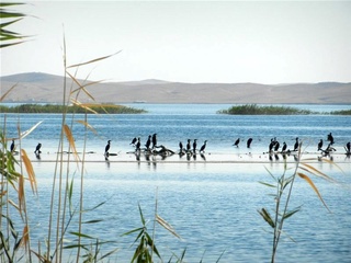 Айдар–Арнасой кўллар тизими ҳамда Тўдакўл кўлида рекреацион кўллар ҳудуди ташкил этилади