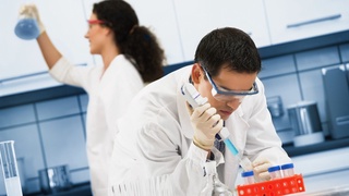 Сирдарёда Референс лабораторияси ишга тушади