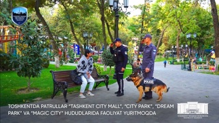 Хиёбонлар, истироҳат боғлари ва бозорларда хизмат итлари ёрдамида текширувлар олиб борилади