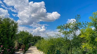 Weather forecast for May 29