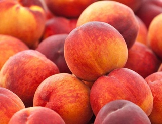 An oriental fruit moth was found in a batch of peaches from Uzbekistan