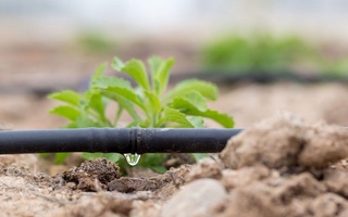 Водные ресурсы: комплексные методы использования