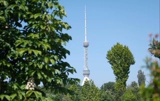 Hafta davomida havo-harorati +31 darajagacha koʻtariladi