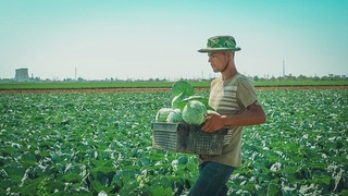 В 2021-м около 10 тысяч мигрантов из Узбекистана примет Астраханская область