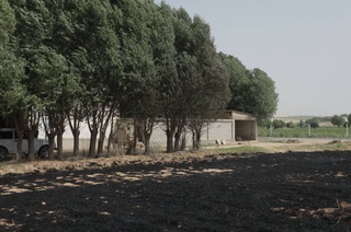 Более 100 млн сумов ущерба: к ответственности привлекают граждан, сжигающих поля в Кумкурганском районе