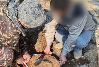 Навоийда тўрт туп айлант дарахтни кесган фуқаро қарийб 55 млн сўм жарима тўлади