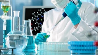 “Академик ҳаракатчанлик” ва “Бўлажак олим” танловлари ташкил этилади