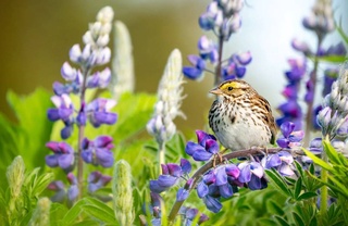 Weather forecast for July 15th