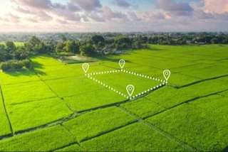 Онлайн аукцион орқали қанча ер майдонлари сотилгани маълум бўлди