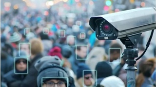 Санкт-Петербургте мигранттардың шығу тегі мен ұлтын анықтау үшін 8 мың бейнекамера орнатылады