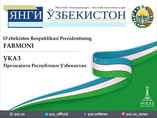 О дополнительных мерах по совершенствованию порядка предоставления в аренду земельных участков сельскохозяйственного назначения