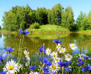 Прогноз погоды на 1 июля