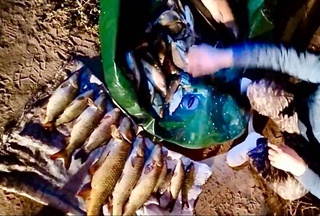 В Бухарской области браконьеры незаконно выловили рыбу, причинив ущерб природе на сумму более 1 млрд сумов