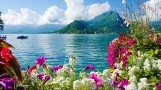 ВОЗ: человек разрушает природу, а вместе с ней - собственное здоровье и благополучие