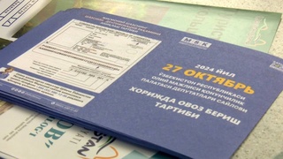 Выезжавшим за границу на постоянной и временной основе гражданам розданы специальные флаеры, информирующие о предстоящих выборах