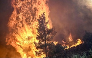 Грециядаги ўрмон ёнғинлари оқибатида 20 киши ҳалок бўлди