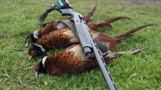 Мансабдор броконьер жаримага тортилди