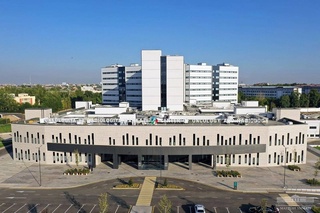 Saratonga qarshi kurashish boʻyicha milliy dastur qabul qilinadi