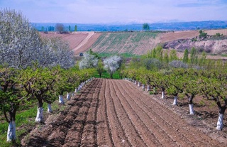 Bugun qanday ob-havo kutilayotgani maʼlum qilindi
