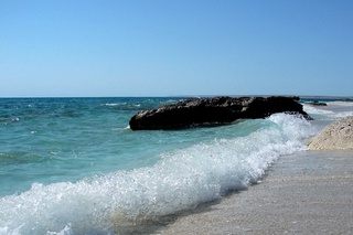 Orol dengizining suv sathi qariyb yarim metrga ko'tarildi