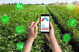 ПРООН окажет финансовую поддержку инновационным идеям в агросекторе Узбекистана