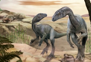 Обнаружены останки одного из древнейших динозавров