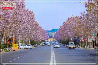 Yakshanba kuni havo harorati yana +20...+23 darajagacha koʻtariladi