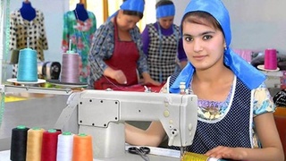 И работа, и доход