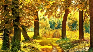 Эртага қандай об-ҳаво кузатилади?