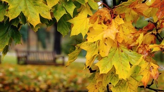 Weather forecast for November 14