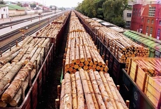 Ёғочсозлик саноати янги босқичда