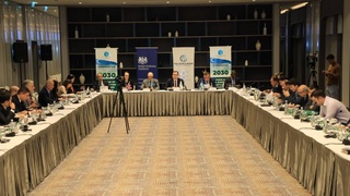 Internationally and nationally adopted strategies are important in achieving the Sustainable Development Goals and the transition to a green economy