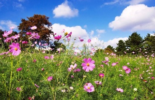 Прогноз погоды на 25 августа