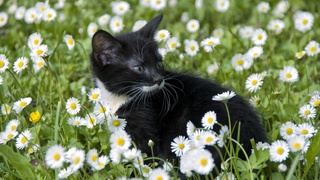 В Узбекистане на этой неделе ожидается +35 градусов