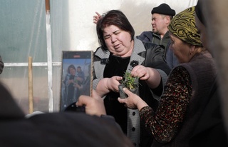 “Гүлши апа”ның мектеплери шөлкемлестирилетуғын болды