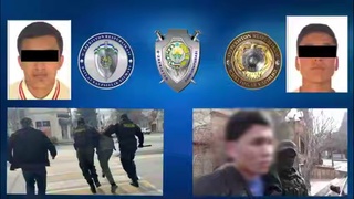 Самарқандда ёлланма қотилликка буюртма берган тадбиркор қўлга олинди