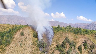 Qo‘riqxonadagi sodir bo‘lishi mumkin bo‘lgan yirik yong‘inning oldi olindi