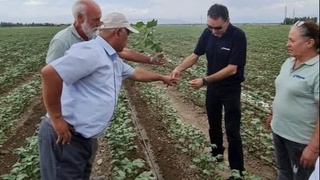 Между Узбекистаном и Израилем развивается сотрудничество в текстильной отрасли