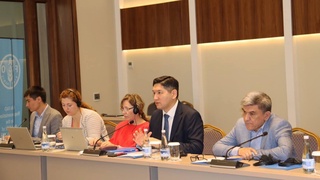 Зеленое сельское хозяйство: вызовы и решения