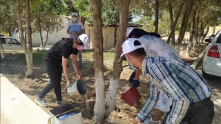 Ўзбекистон Республикаси Мустақиллигининг 30 йиллигига бағишлаб янги ҳашар бўлиб ўтди