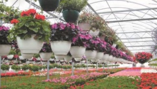 Все условия для благополучной жизни